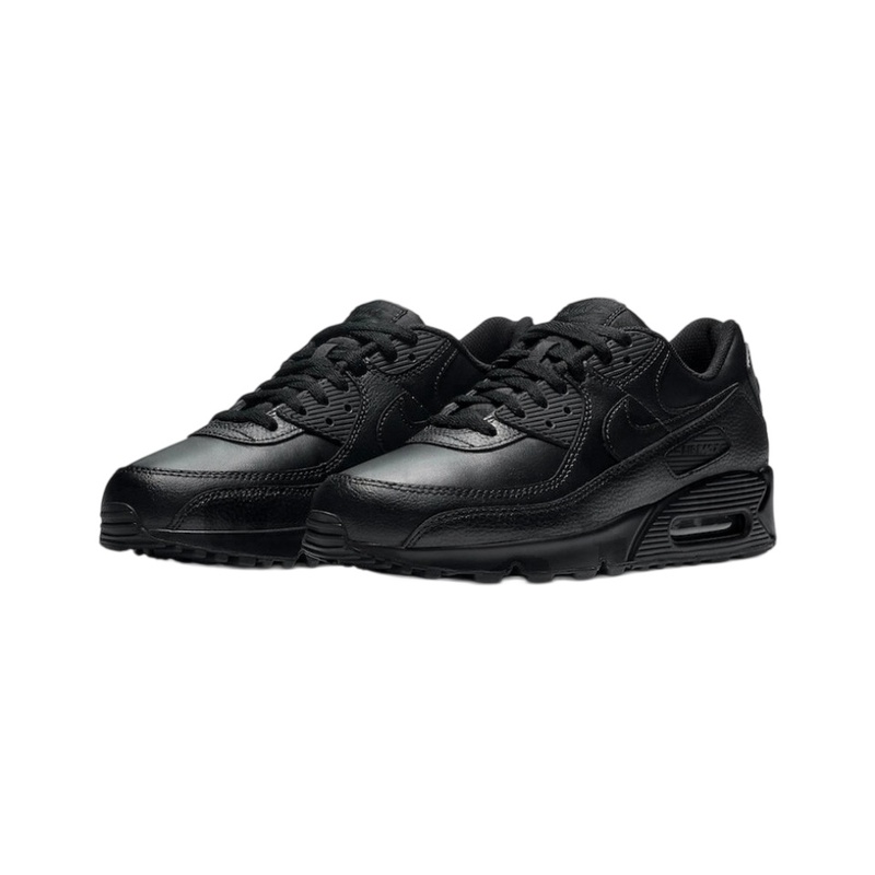 Мужские кроссовки Nike Air Max – обзор и цена Nike Shoes Air Max 90
